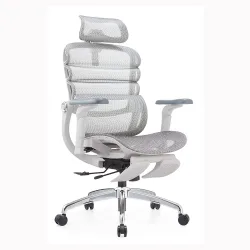 Ghế Công Thái Học Manson Foris, Màu Xám, Có gác chân | Đỡ Lưng Bionic Spine, Ngả Sâu 147 Độ, Tay 5D