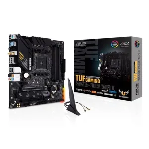 Main AMD